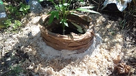 Growreport Bild 12