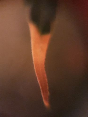 Growreport Bild 21