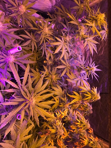Growreport Bild 11