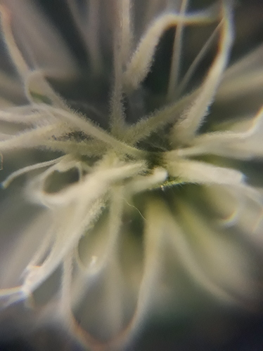 Growreport Bild 21
