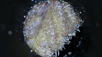 Growreport Bild 6