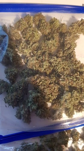 Growreport Bild 1