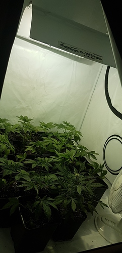 Growreport Bild 6