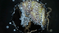 Growreport Bild 8