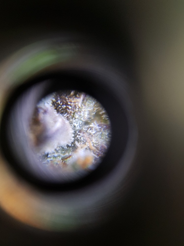 Growreport Bild 18