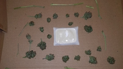 White Haze Automatic Outdoor-Berichterstattung