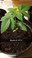 Growreport Bild 14