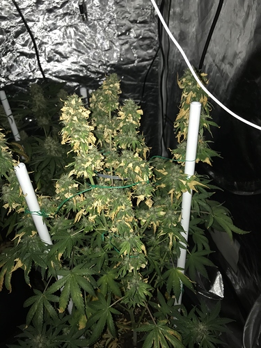 Growreport Bild 10