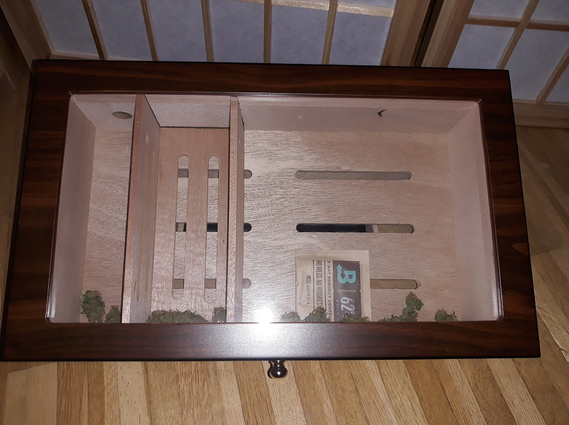 Mein 1 Versuch Indoor Orange Hill Special