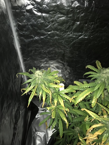 Growreport Bild 6