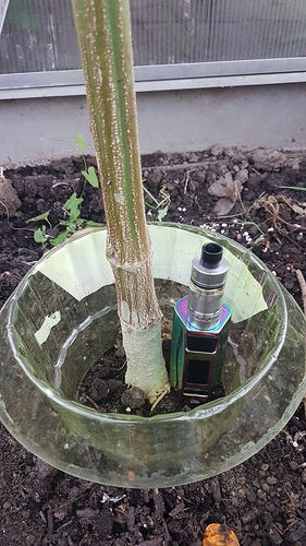 Growreport Bild 7