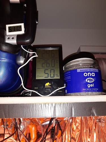 Growreport Bild 1