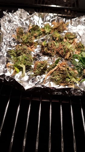 Growreport Bild 16