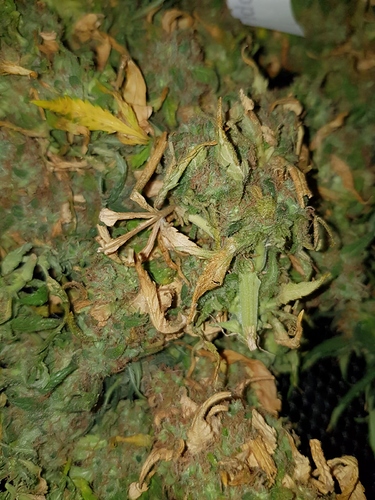 Growreport Bild 11
