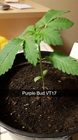 Growreport Bild 18