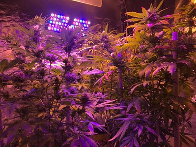 Growreport Bild 10
