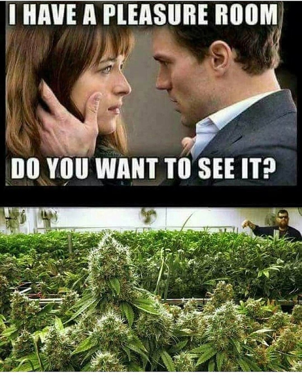 Lustige Bilder und Witze zum Thema Cannabis Offtopic Forum