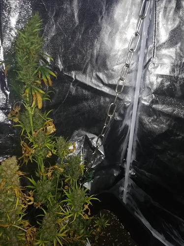 Growreport Bild 9
