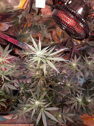 Growreport Bild 9