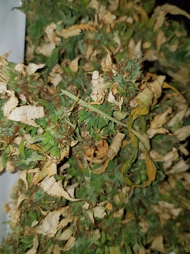 Growreport Bild 10