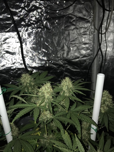 Growreport Bild 12