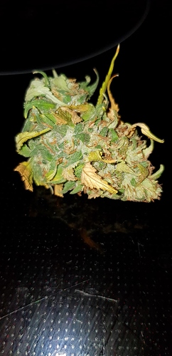 Growreport Bild 4