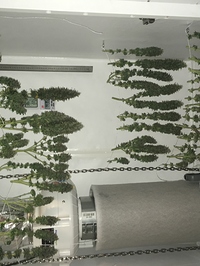 Growreport Bild 2