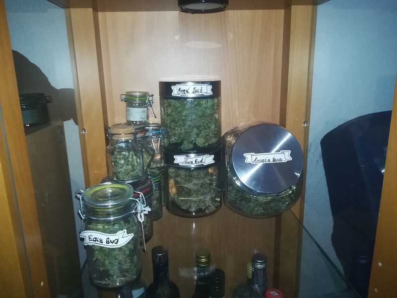 Grow Report die Zweite