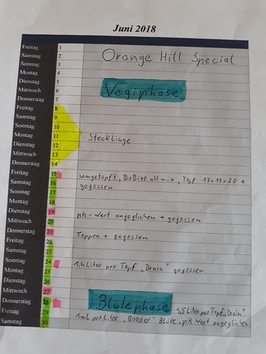 Growreport Bild 1