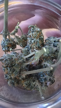 Growreport Bild 6