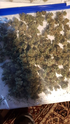 Growreport Bild 2