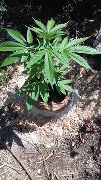 Growreport Bild 11
