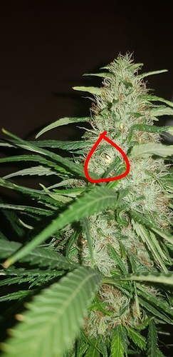 Growreport Bild 9