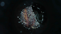 Growreport Bild 11
