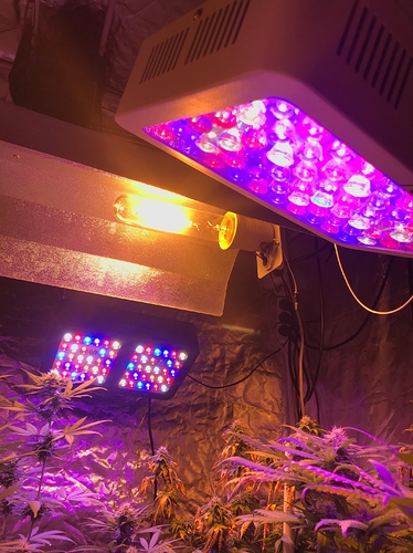 Growreport Bild 8
