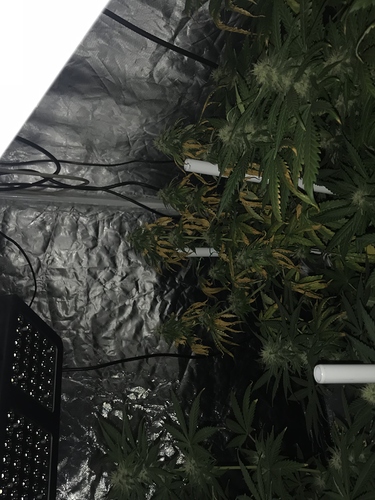 Growreport Bild 2