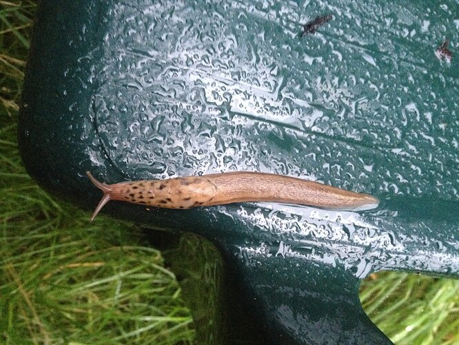Growreport Bild 44