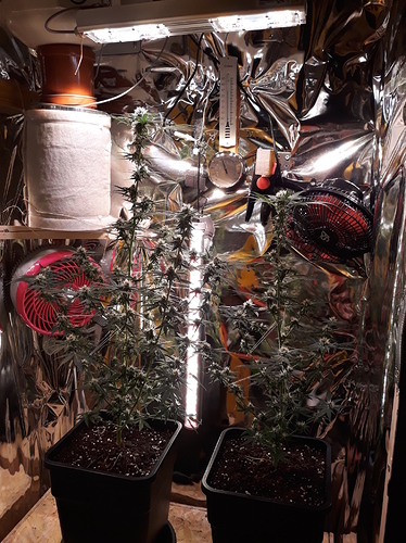 Growreport Bild 11