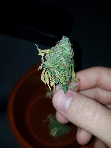 Growreport Bild 14