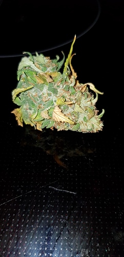 Growreport Bild 8