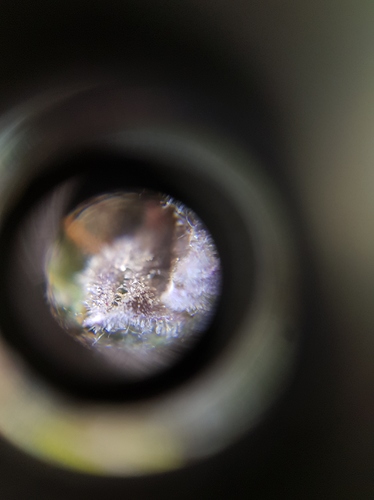 Growreport Bild 20