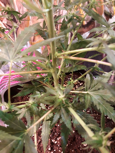 Growreport Bild 5