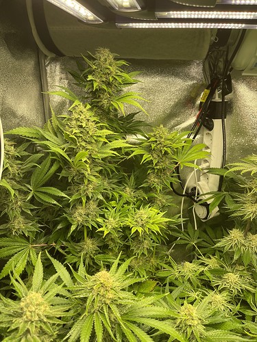 Growreport Bild 21