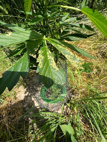Growreport Bild 14