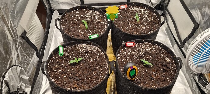 Growreport Bild 11