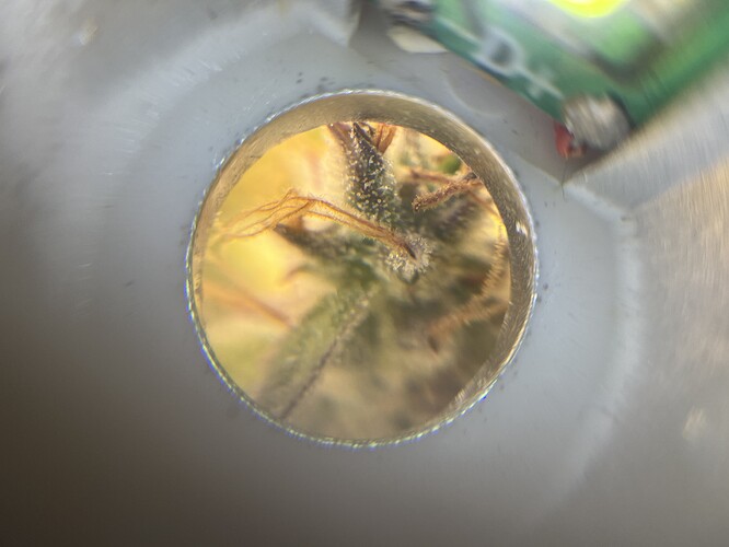 Growreport Bild 14