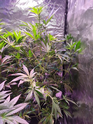 Growreport Bild 10