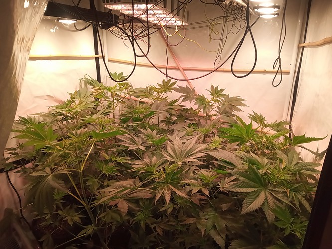 Growreport Bild 23