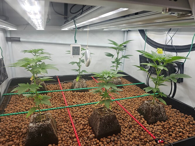Growreport Bild 6