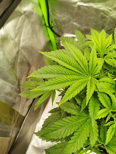 Growreport Bild 10